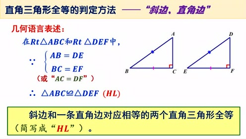 北师大版八年级数学下册第一章 三角形的证明1.2 直角三角形