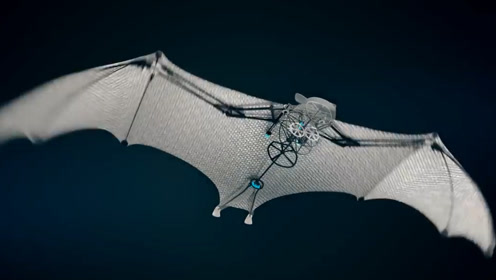 德国发明仿生蝙蝠,体重只有580克,张开翅膀却比人还高