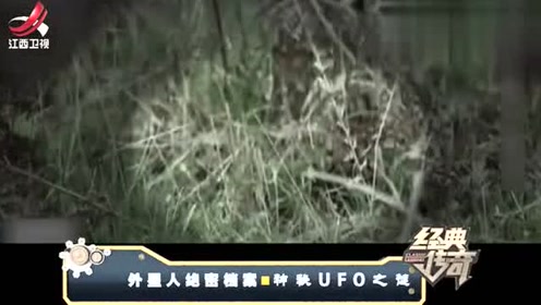 揭秘：外星人绝密档案，神秘 UFO 之谜！