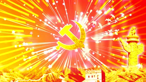 党徽闪闪发光