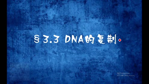 高中生物必修二《遗传与进化》3.3 DNA的复制