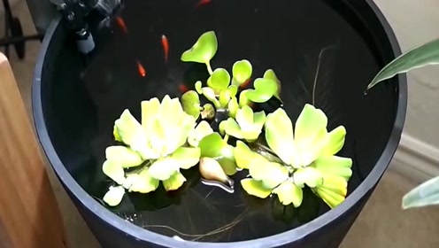 腾讯视频