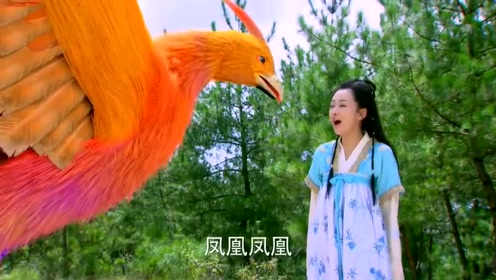 腾讯视频