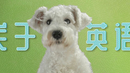 逆天狗狗神演技 腾讯视频