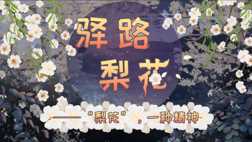 七年级语文下册14 驿路梨花(彭荆风)