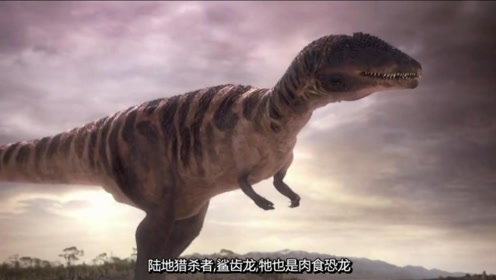 恐龙星球,十三米长的鲨齿龙登场,拥有16公分长的锯齿状牙齿!