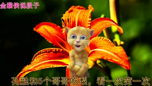 金猫侠说段子:孔融和5个哥哥吃梨,看一次笑一次!