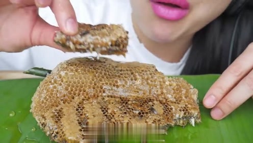 国外微笑姐吃原生态蜂巢蜜,大口大口的吃,甜到齁