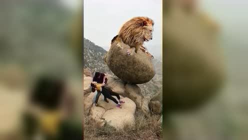 妈呀,石头怎么推不动