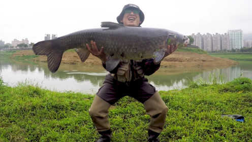 50多斤的大青鱼，足足遛了40多分钟！