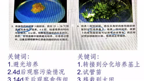 腾讯视频