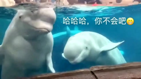 腾讯视频