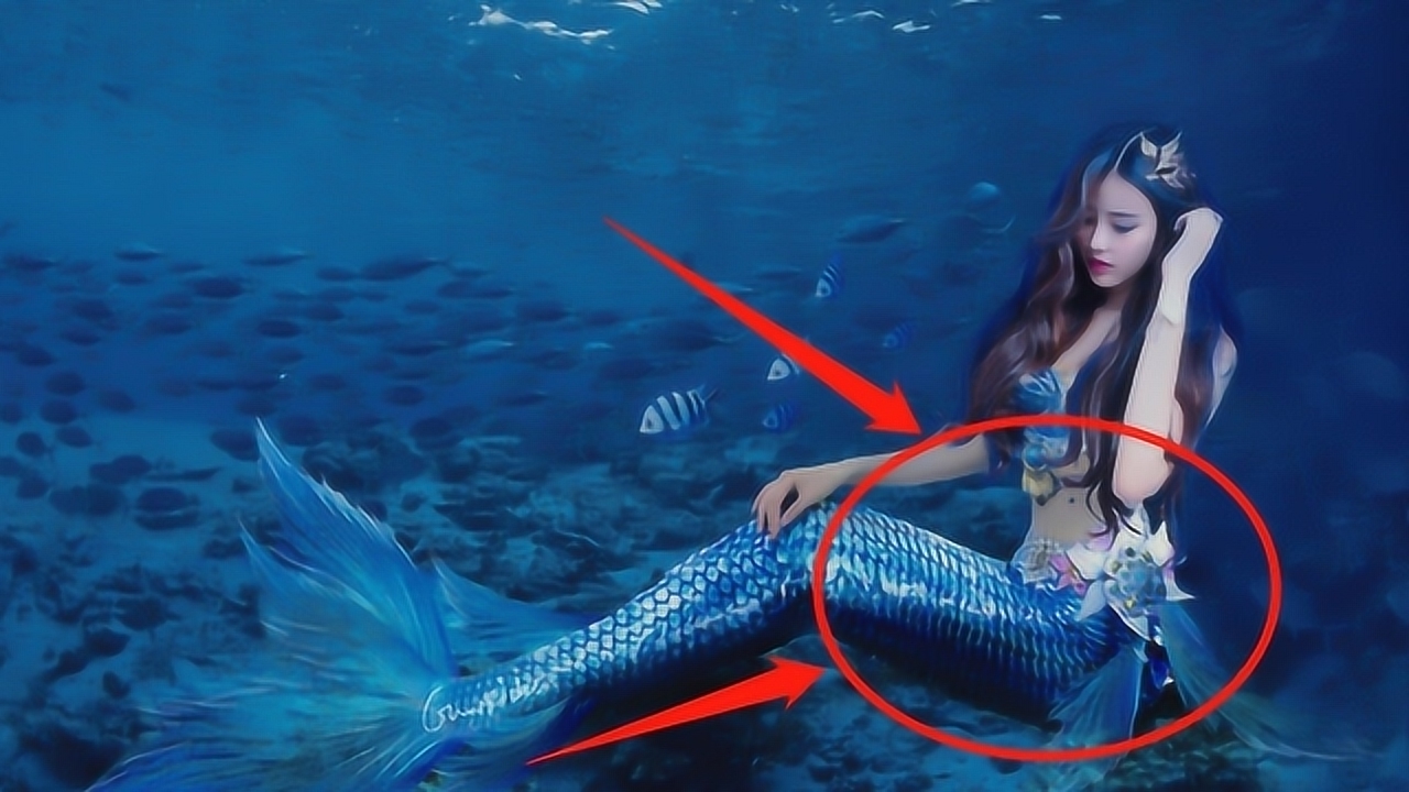世界上真的存在美人鱼吗?印度曾经抓到过一只,这到底怎么回事!