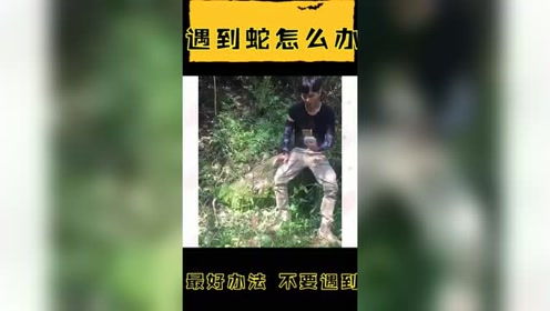 沙羅曼蛇 腾讯视频