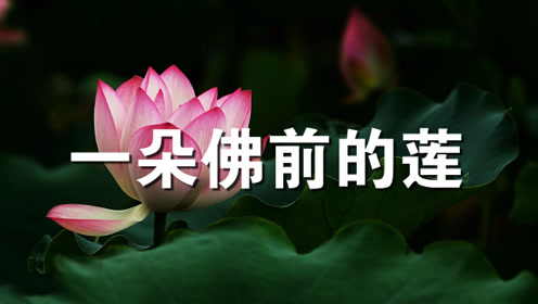 我是一朵佛前的莲,听佛祖讲人世沉浮(经典)