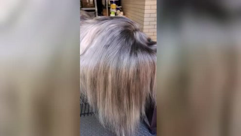 腾讯视频