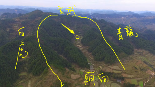 玄武老师 腾讯视频