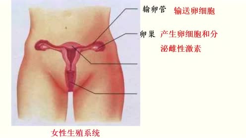 人教版七年级音乐下册