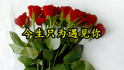 情歌mv:《今生只为遇见你》缘分让我们相遇,两颗心紧紧在一起