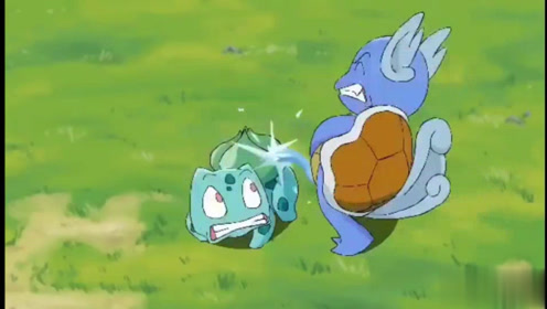 蒜头蛤蟆,呲水王八,喷火蜥蜴.