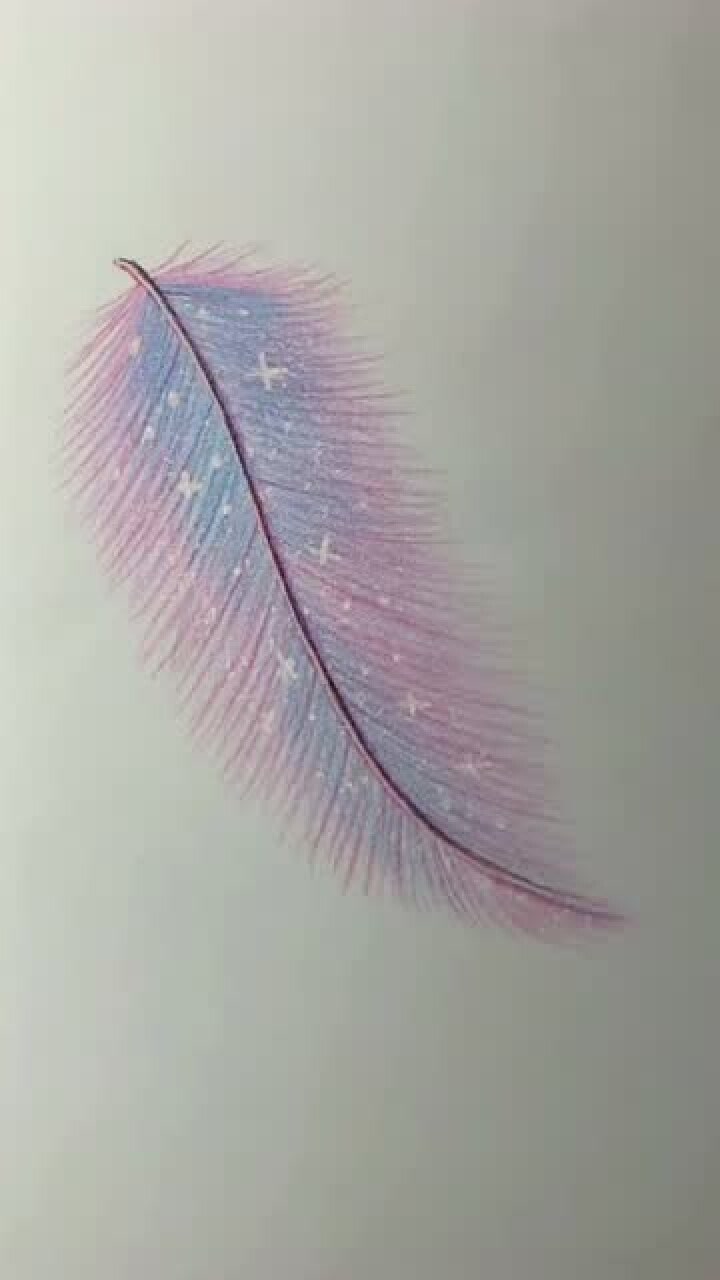 用彩铅绘画一根羽毛,太梦幻了!