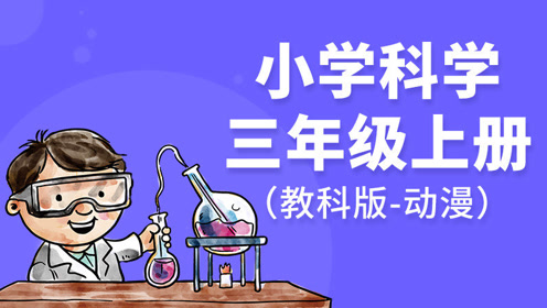 教科版一年级科学上册