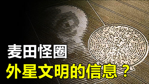 麦田神秘圆圈 腾讯视频