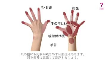7beauty尚尔优体的个人频道