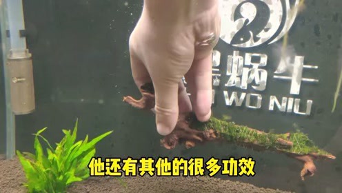 腾讯视频