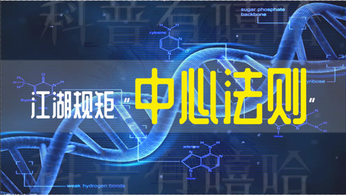 腾讯视频