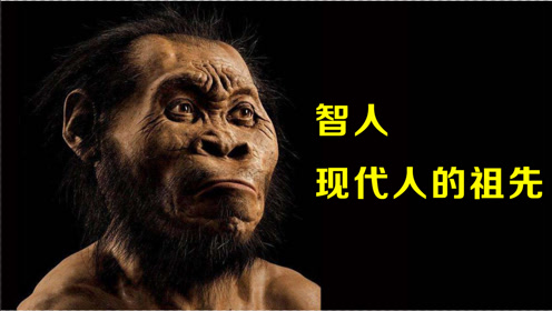 非洲智人为什么能征服全球,成为现代人的祖先