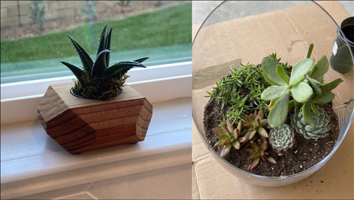 苔癣 腾讯视频