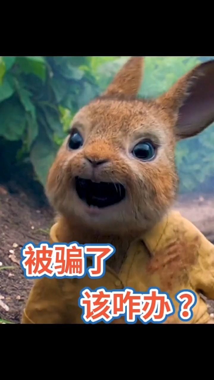 兔子 #爆笑 #搞笑 #幽默 #搞笑视频 #精彩视频 #搞笑片段 #精彩片段