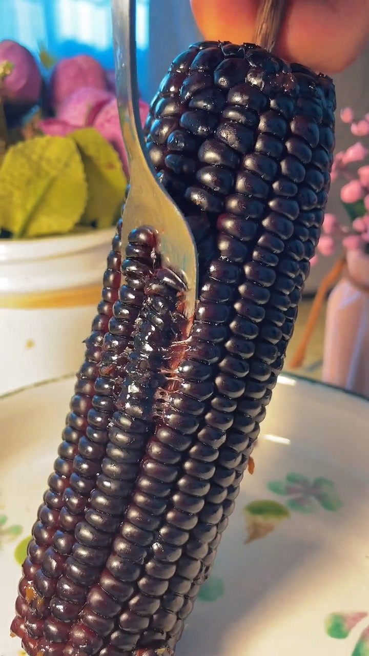 东北黑玉米成熟了 现摘现发 软糯香甜  视频下方购物袋里就有