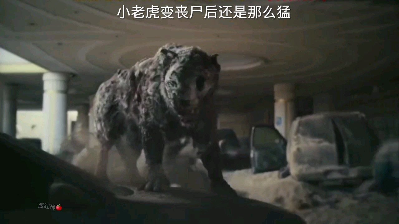 丧尸老虎还是那么生猛