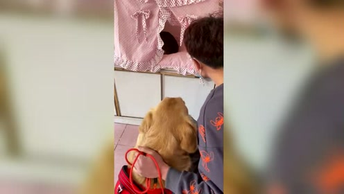 恭喜蛋宝狗生第一次当妈妈了!