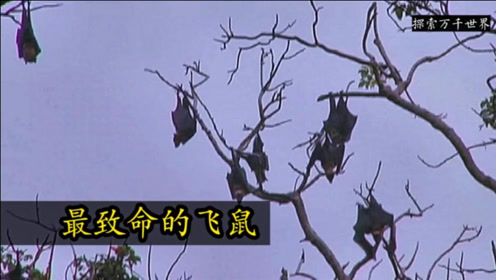 腾讯视频