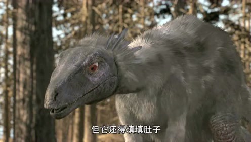 腾讯视频