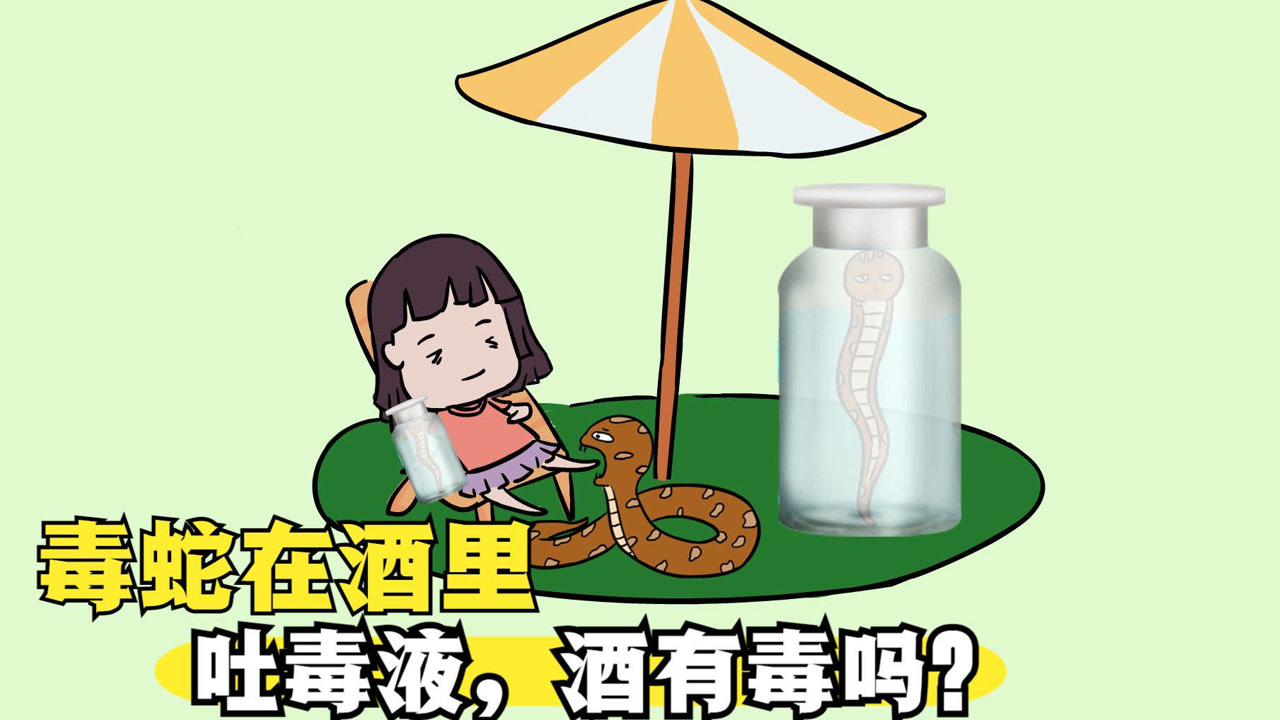 蛇酒(以毒蛇 、青风藤、桂枝为主用料的白酒)_搜狗百科