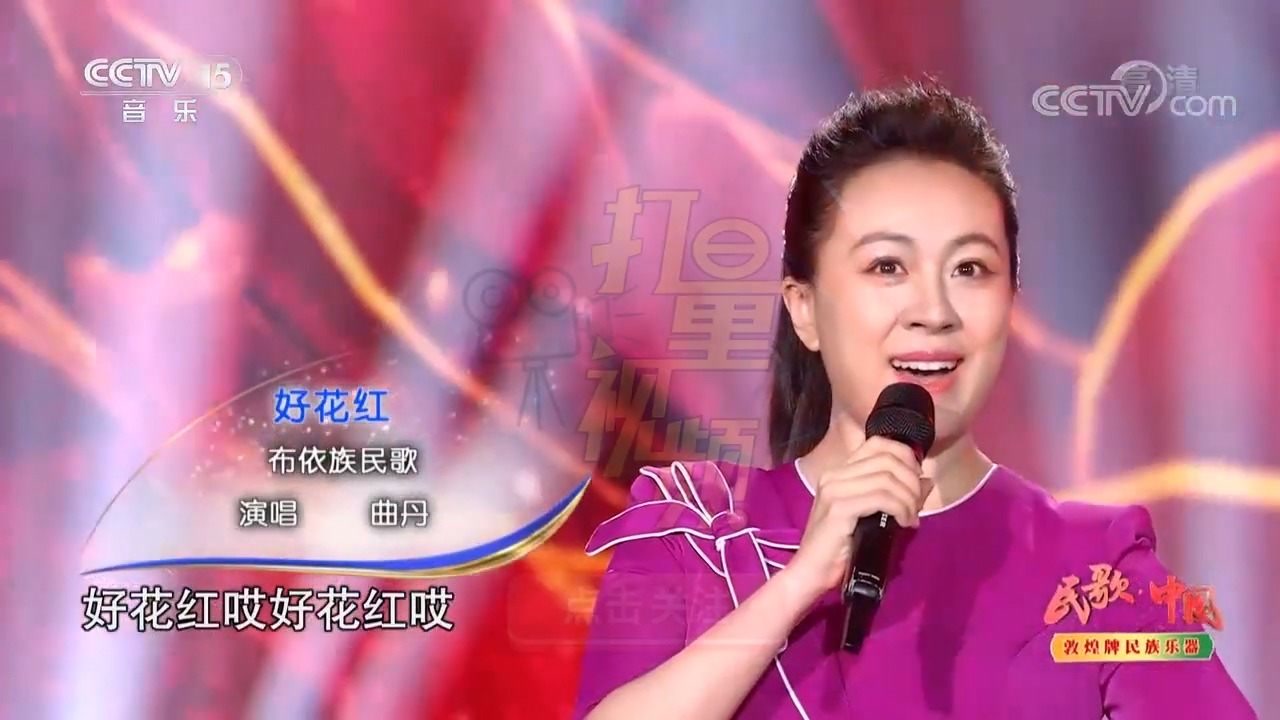 一首布依族民歌《好花红》,曲丹歌声难以忘记,陶醉
