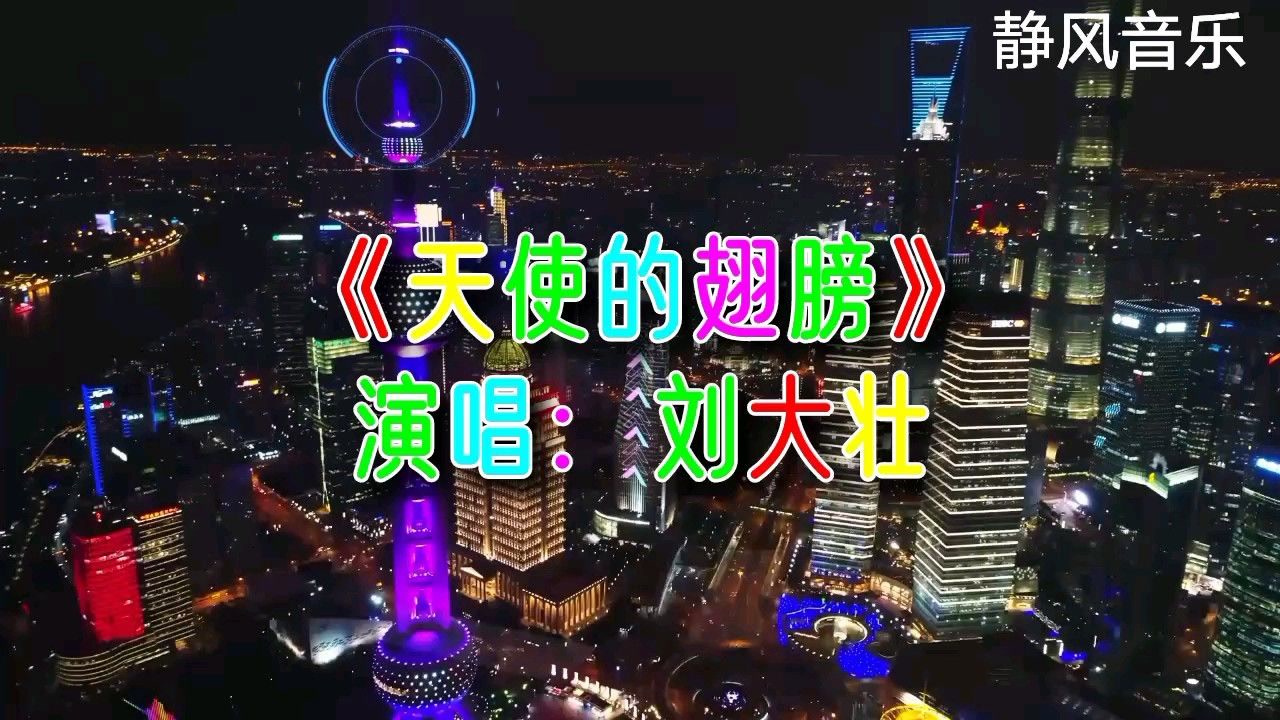 歌曲《天使的翅膀》演唱:刘大壮