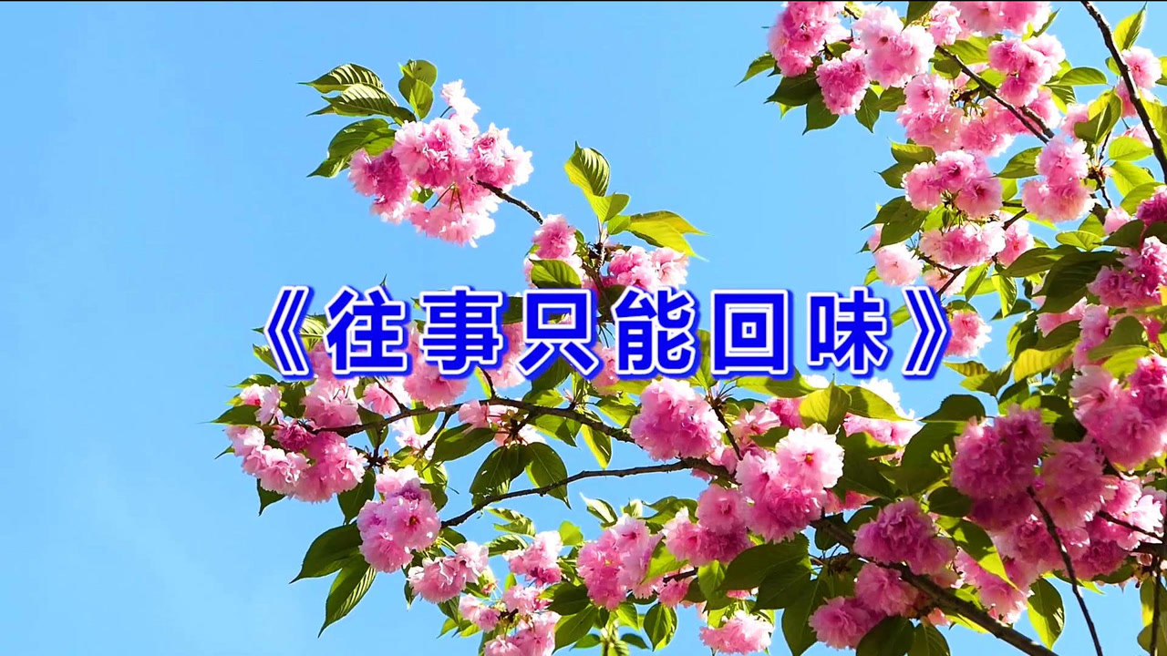 一首经典老歌《往事只能回味》歌声优美,让人百听不厌,好听极了!