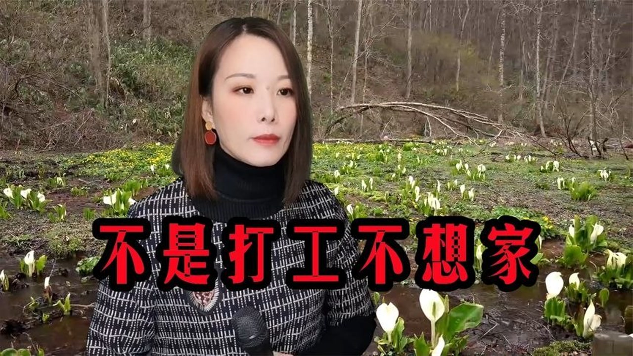 一首《不是打工不想家》,歌词句句扎心,太现实了,想家想父母!