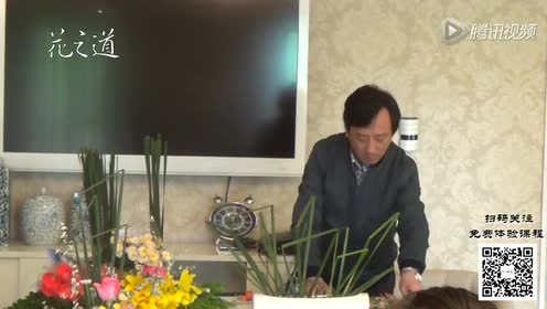 自由插花 腾讯视频
