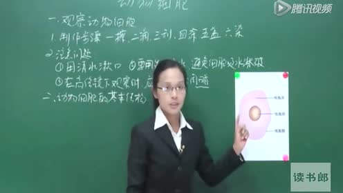 动物细胞 腾讯视频