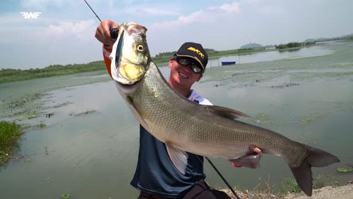 ewe路亚-夏利俊江苏镇江战米翘上集