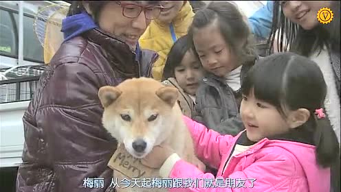 腾讯视频