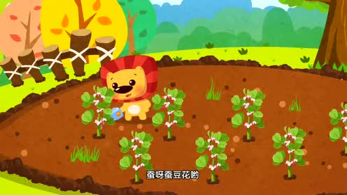 达达狮儿歌:蚕豆花