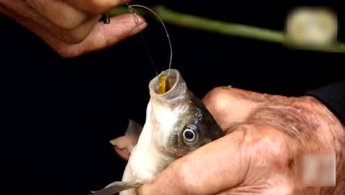 农村八旬老翁揭秘姜太公直钩钓鱼,再现千古绝技