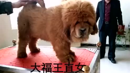 腾讯视频